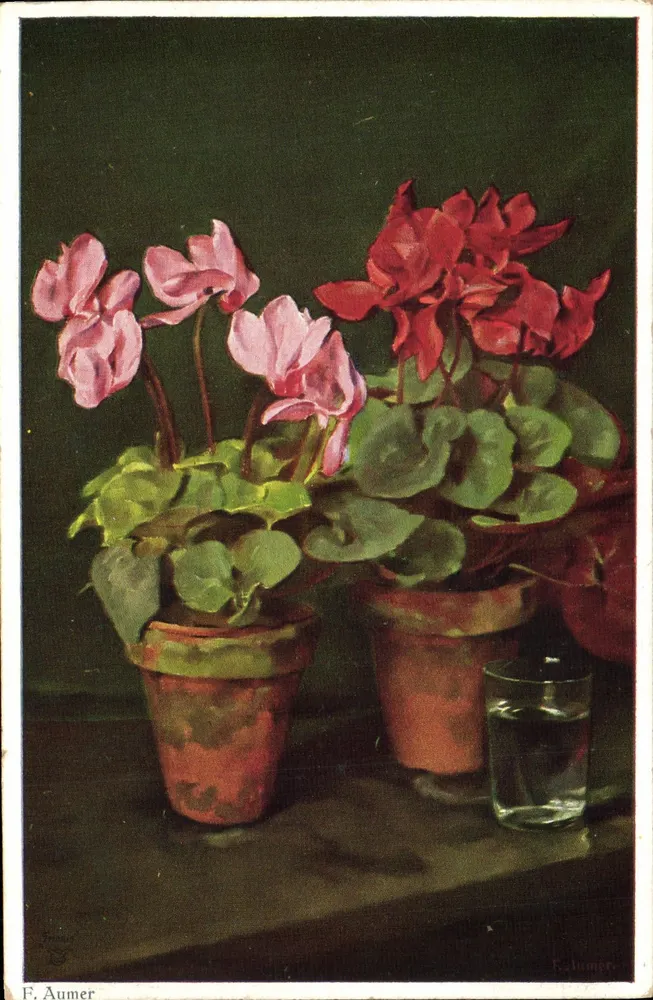 Ciclamores em vasos — pintura — F. Aumer - Frente