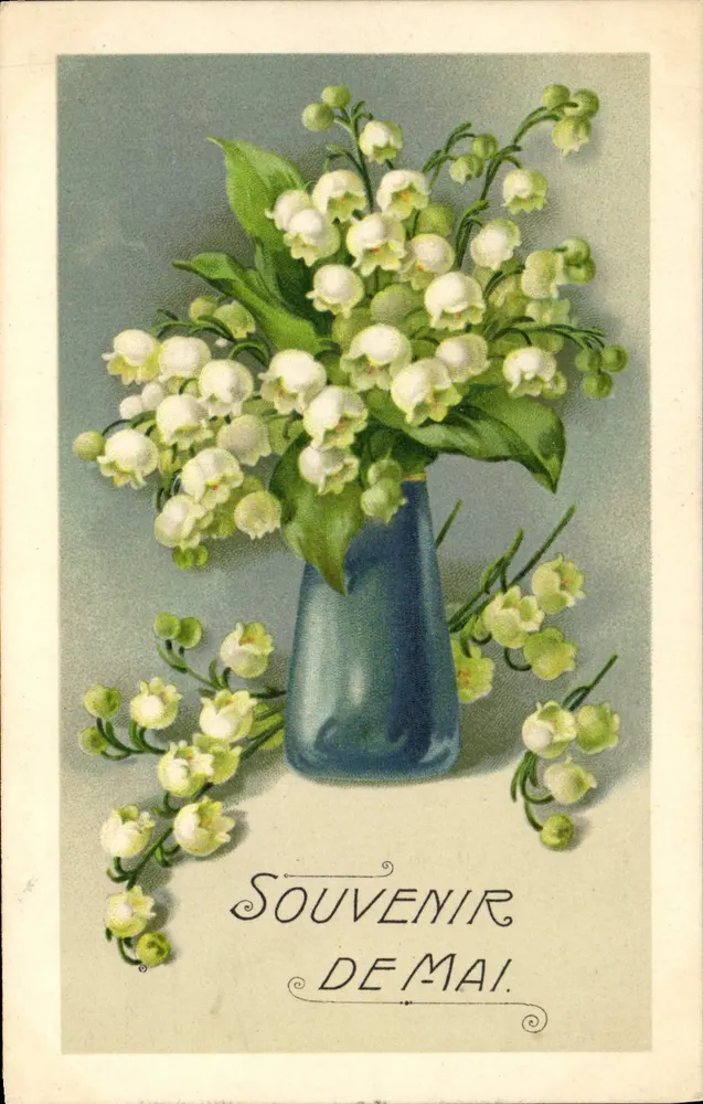 Lilie der Schlucht — Souvenir de Mai — Verlag nicht sichtbar - Vorderseite