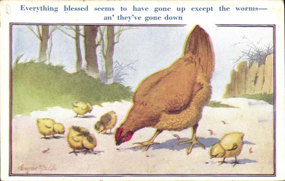 Coruja e filhotes — Everything blessed seems to have gone up except the worms— an’ they’ve gone down — B. C. Post-Card - Frente