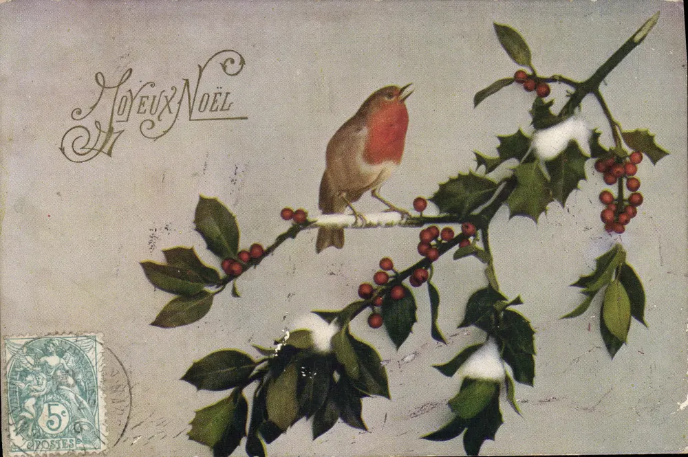Pássaro-pombo vermelho em galho de hortência — Natal — editor Raphael Tuck & Fils, série 59 - Frente