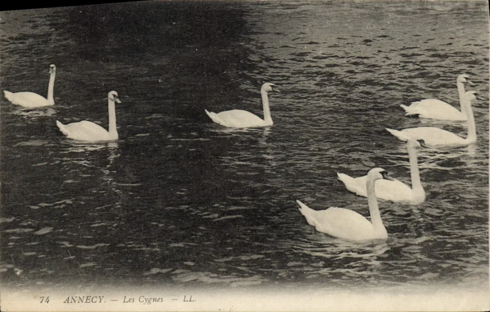Annecy — Os Cisnes — LL, n°74 - Frente