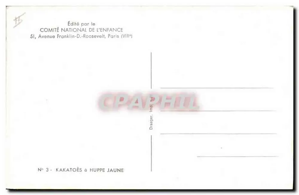Papagaio-de-coroa-amarela — série n°3 — editado pelo Comité National de l'Enfance, Paris - Verso
