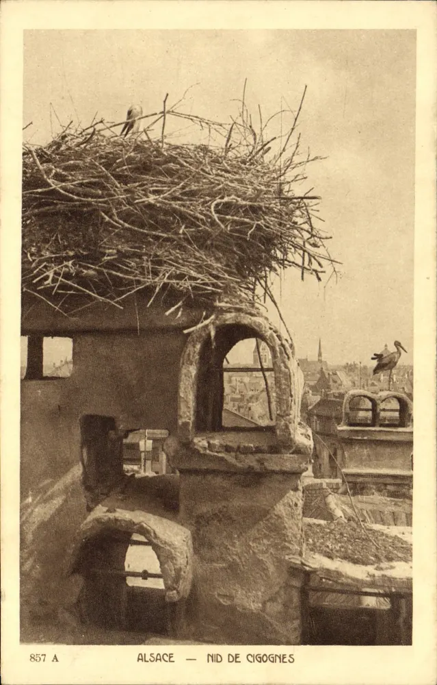 अल्सेस — कौआ के घोंसला — प्रकाशक BRAUN & Cie, Dornach (Ht-Rhin) - आगे