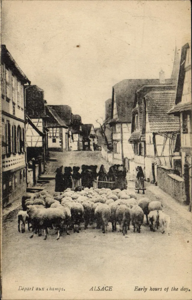 Vertrek naar de velden — ALSACE — Vroege uren van de dag - Voorkant