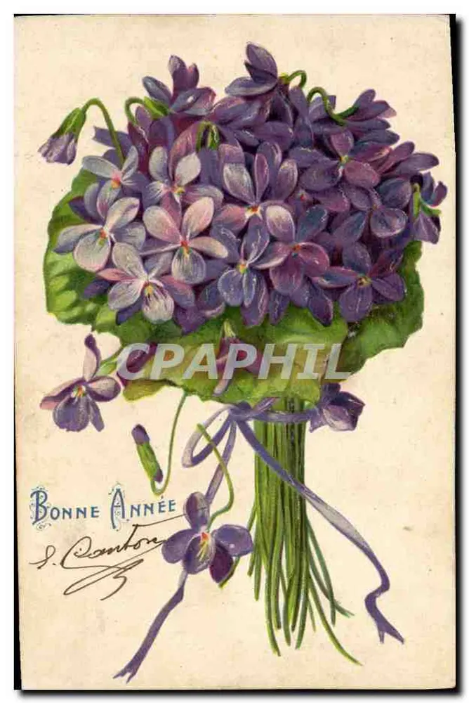 Arranjo de violetas — Boa Ano — S. Canton - Frente
