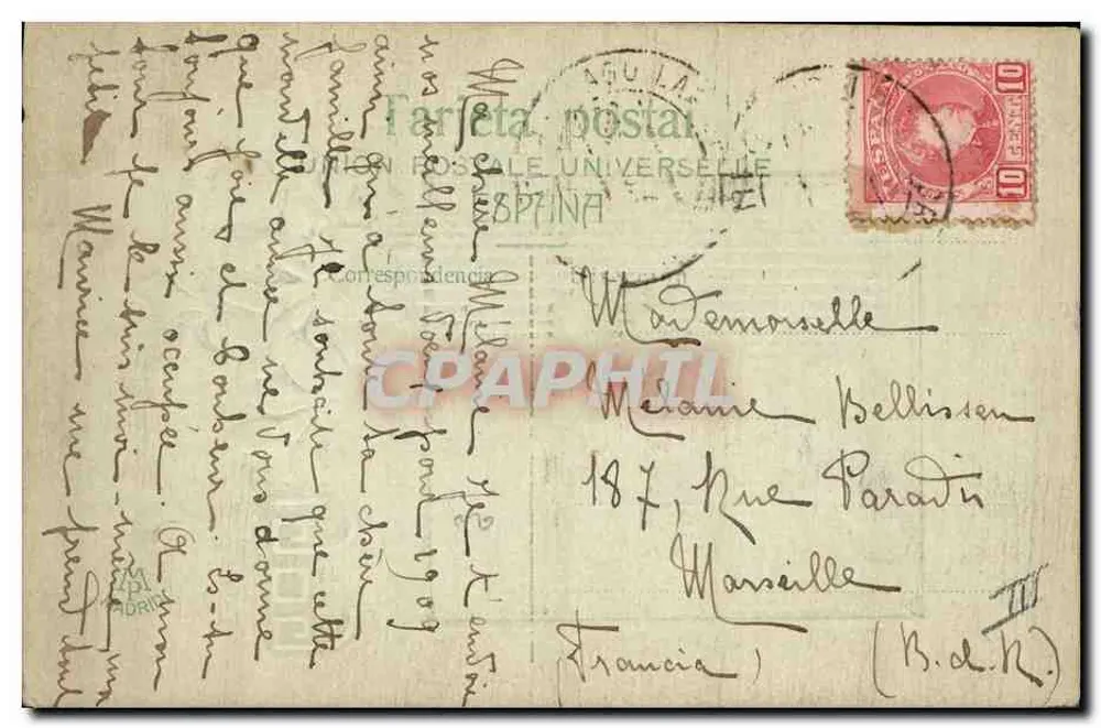 Violetas em uma grade — ilustração — editor desconhecido - Verso
