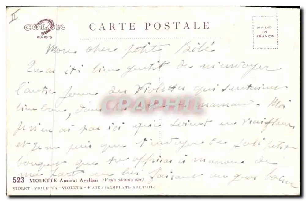 Mata de violetas — 'Heureuse Année' — Bande - Verso