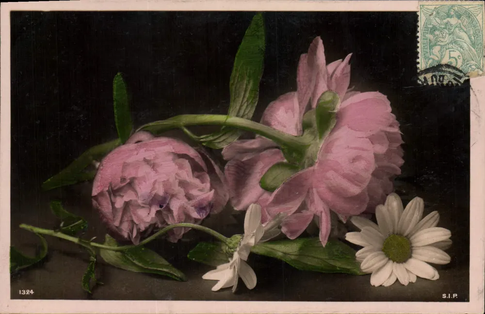 Bloemen — peonies en margrietjes — S.I.P. n°1324 - Voorkant
