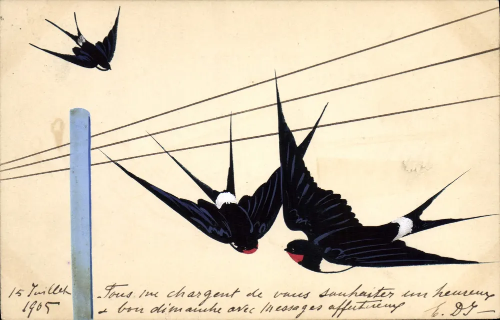 Aves sobre as linhas de alta tensão — ilustração — editor e número de série ilegíveis - Frente