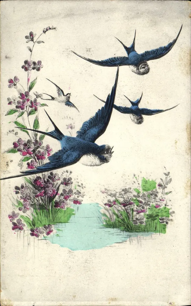 Aves em voo — flores e lago — Bromotypie Série 85 - Frente