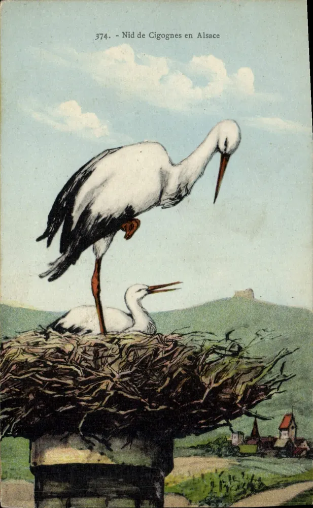 Zwemnest van de Kikvors in de Elzas — serie 374 — uitgever La Cigogne, Straatsburg - Voorkant