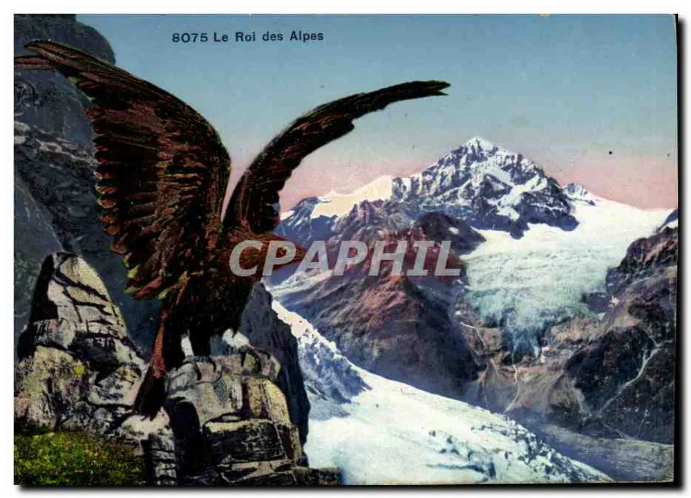 O Rei das Alpes — Editor: Phototypie Co. Neuchâtel — N° de série 8075 - Frente