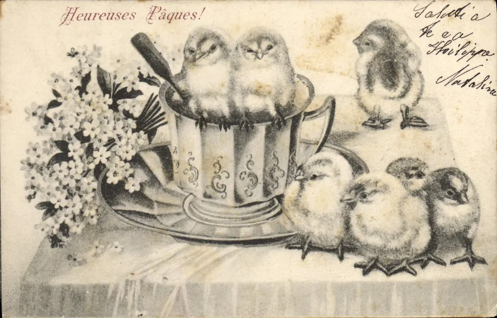 Poussins w filiżanie — Szczęśliwe Wielkanoc! — wydawca nieznany - Awers