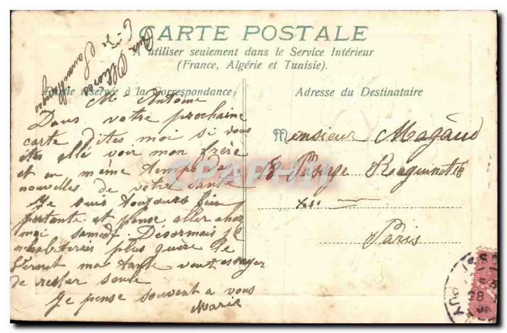 Flores de papoula — Bon Souvenir — editor não visível - Verso