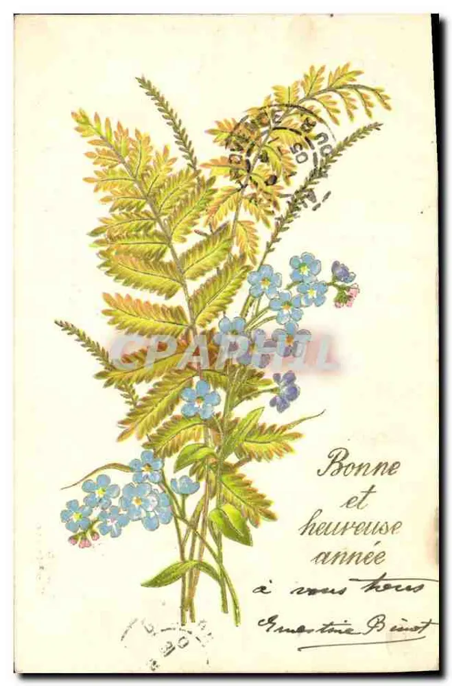 Flores e samambaias — Boa e feliz ano — editor não visível - Frente