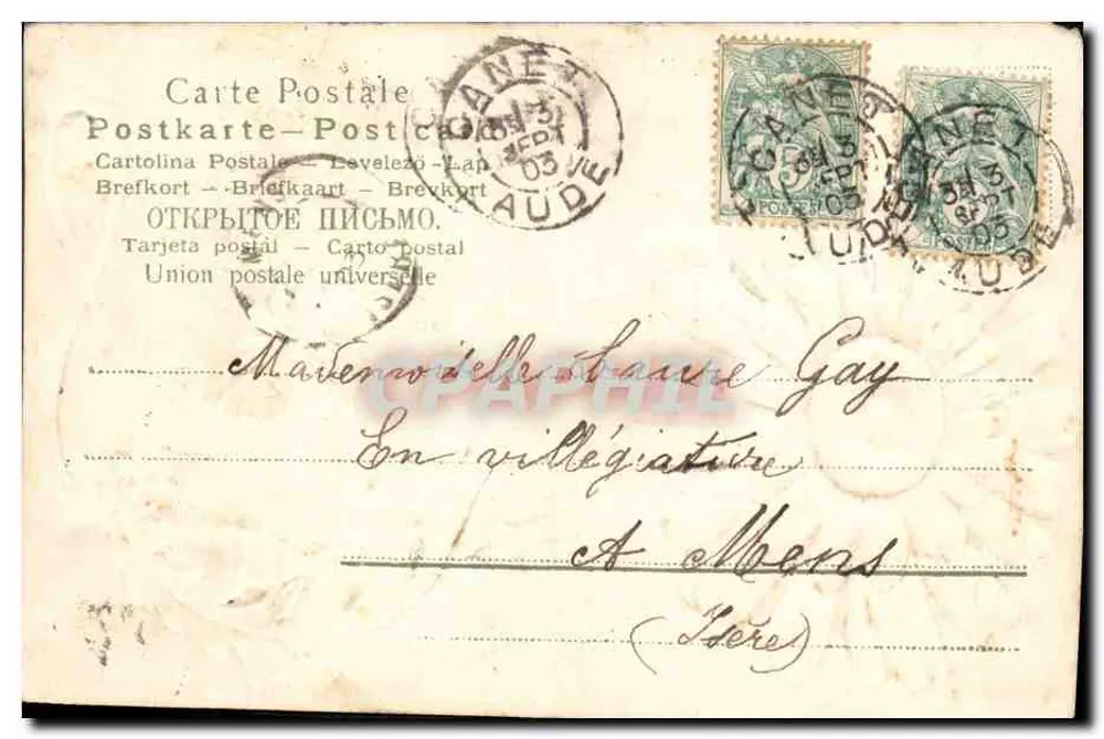 Flor rosa — carta postal ornada — editor anônimo - Verso