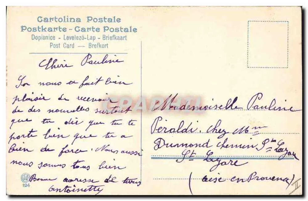 Marguerite Préférence — ilustração de flores — Cartolina Postal - Verso