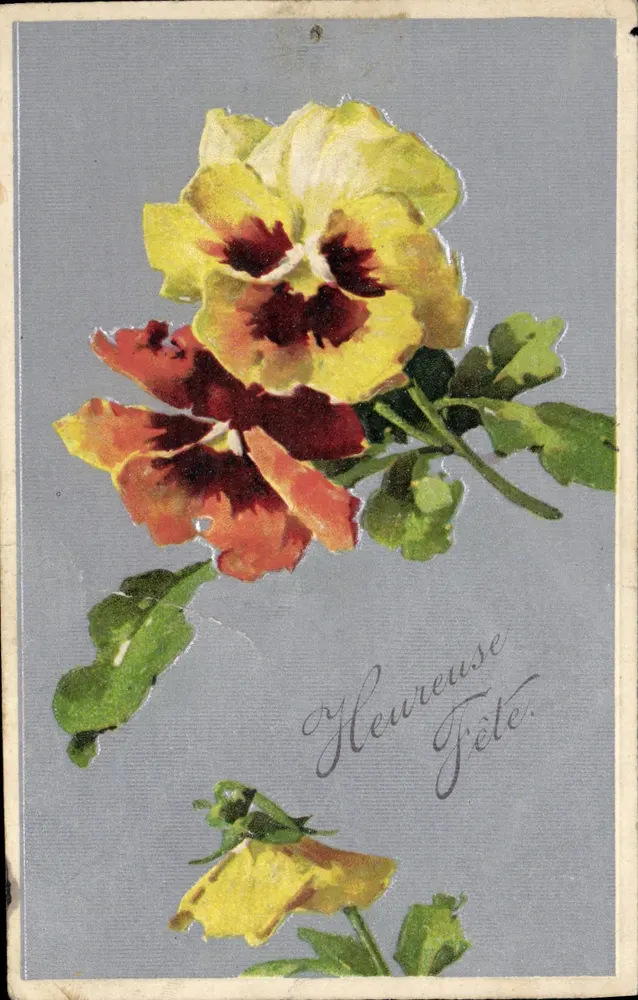 Pansée — Flores coloridas — Editor série 7318 - Frente