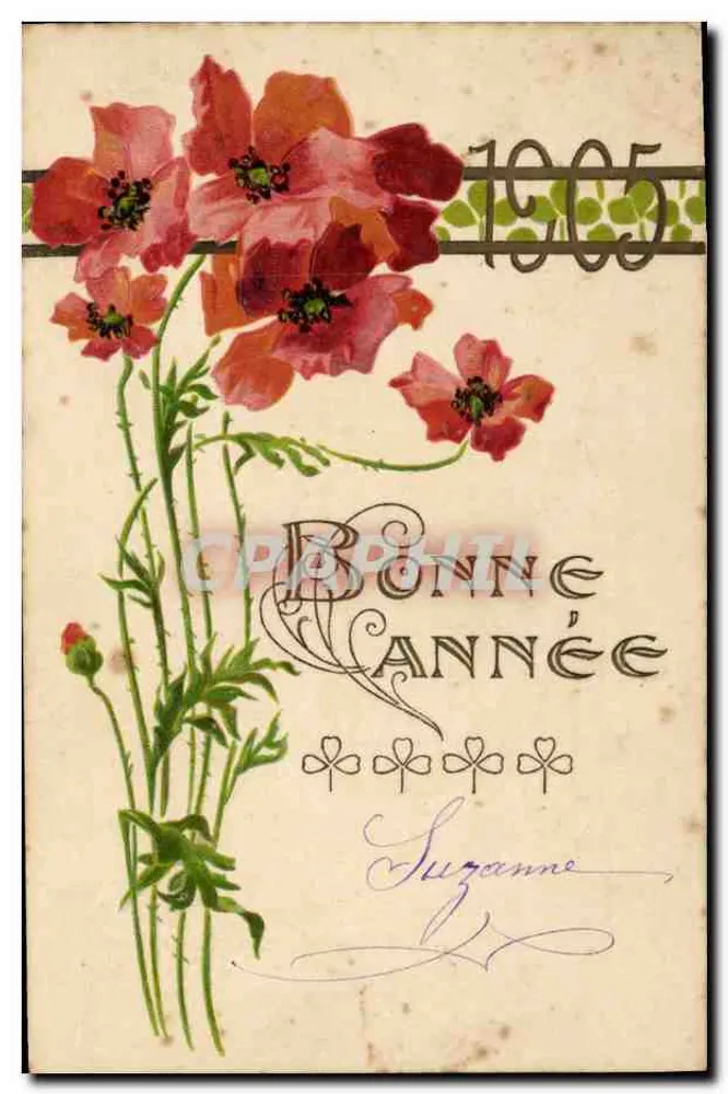 Flores de papoula — Boa Ano 1905 — sem editor ou número visível - Frente