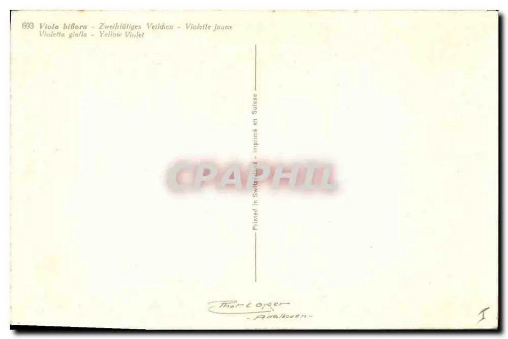 Violetas amarelas — Viola biflora — Impresso na Suíça - Verso