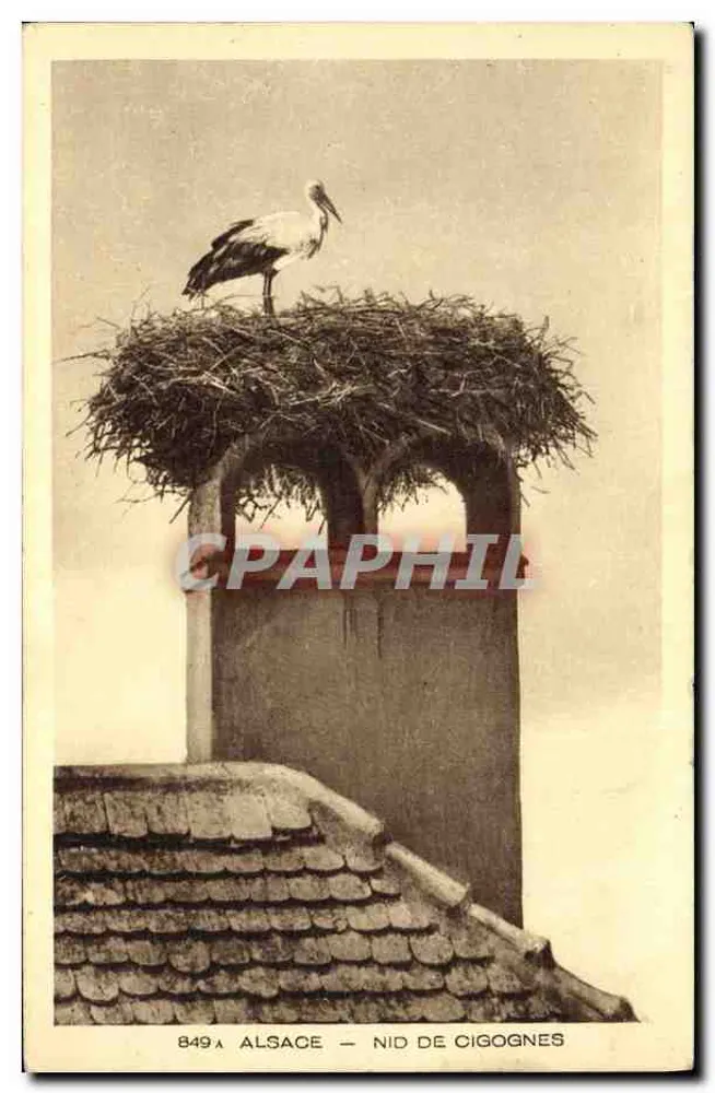 अल्सेस — कबूतर का घोंसला — ब्राउन & सी, इम्प्रेसरी एडिटर नियलहाउस-डॉर्नाच - आगे