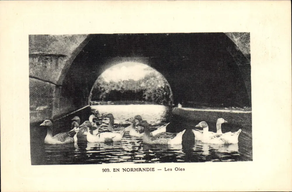 As Gansos — 909. EM NORMANDIA — E. Roussell, editor - Argentan - Frente