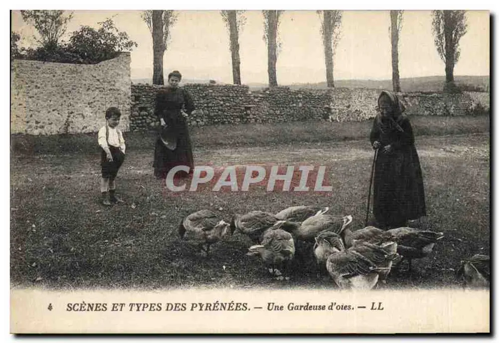 Sceny i typy Pyrenées — Kobieta opiekująca się gniazdkiem — LL - Awers