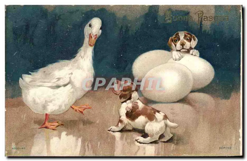 Poodle e pato — Boas Páscoas — Dépore - Frente