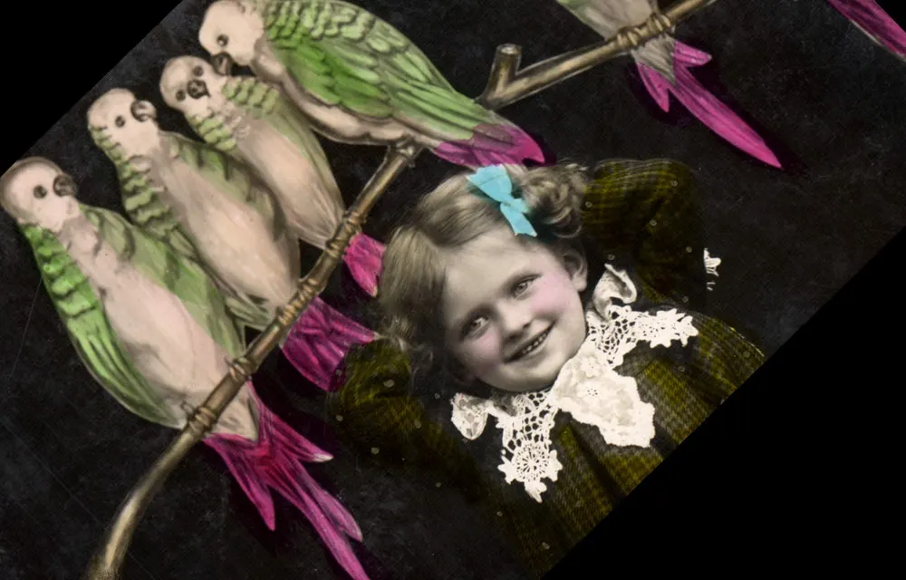 Menina com papagaios — ilustração colorida — editor desconhecido - Frente