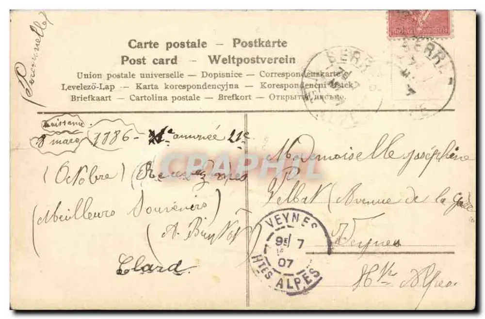 Lavanda em um vaso azul — Carta postal de agradecimento — Editor desconhecido, número de série não visível - Verso