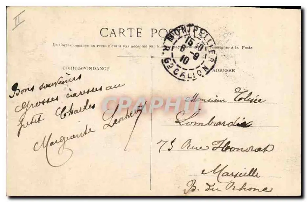 Montpellier — Jardin botanique. Die große Gewächshaus — Verlag: Nouvelles Galeries - Rückseite