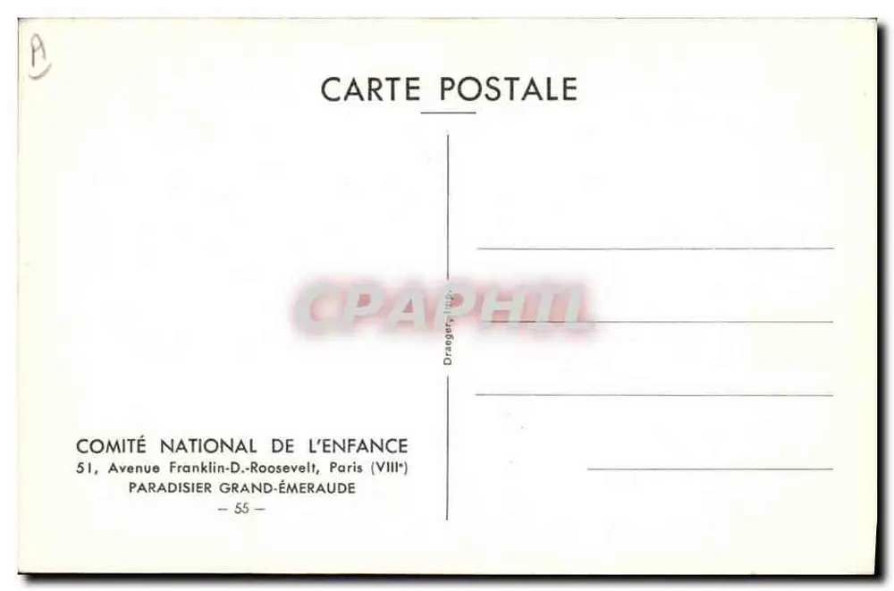 Ave exótica — ilustração naturalista — COMITÉ NATIONAL DE L'ENFANCE, Paris - Verso