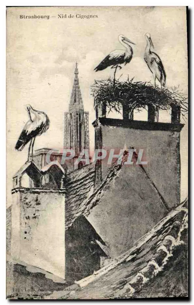 Estrasburgo — Ninho de Coruja — Félix Luth, editor, Estrasburgo - Frente