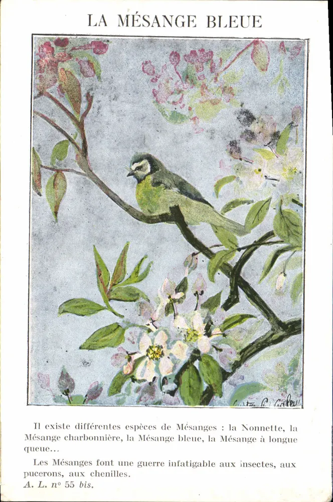 A Mésange Azul — A. L. n° 55 bis — André Lesort, Editor, Paris - Frente