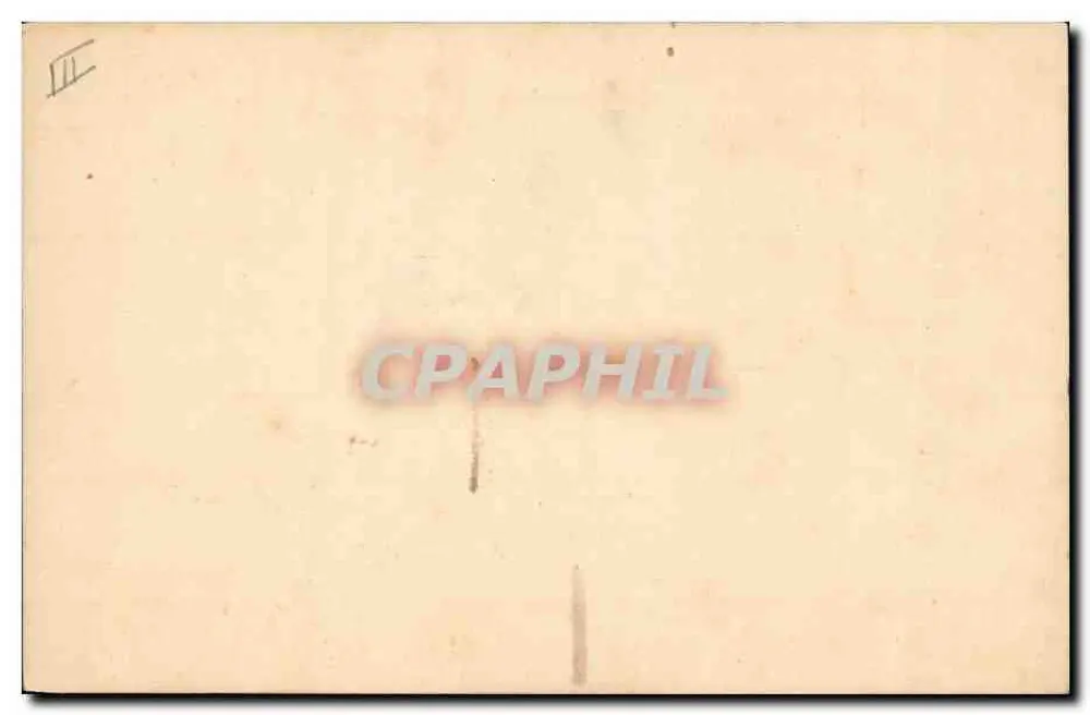 Pássaro em galho de pessegueiro — Bonne Sante — carta postal ilustrada - Verso