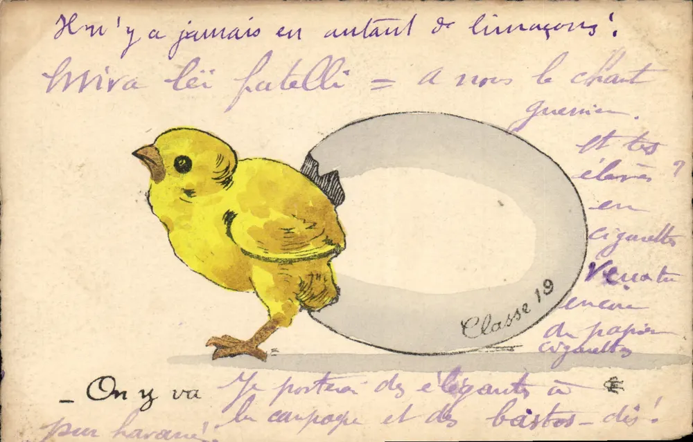 Poussin saindo de um ovo — Classe 19 — desenho de alunos - Frente