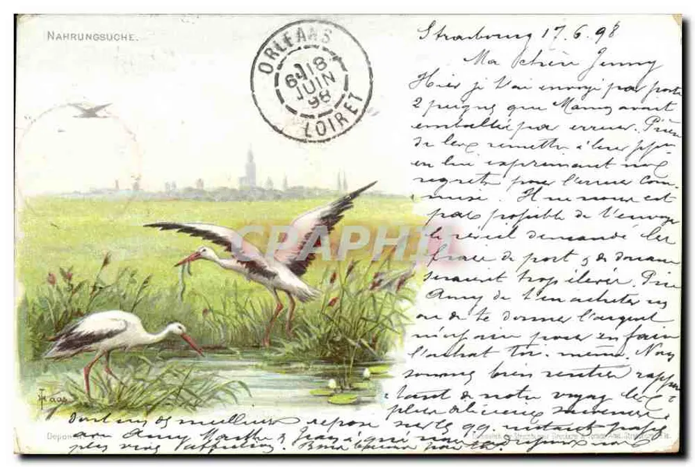 Cygnes et oiseaux dans les marais — Nahrungsuche — Dépôt de la Deutsche Reichspost, n° 17634N - Recto