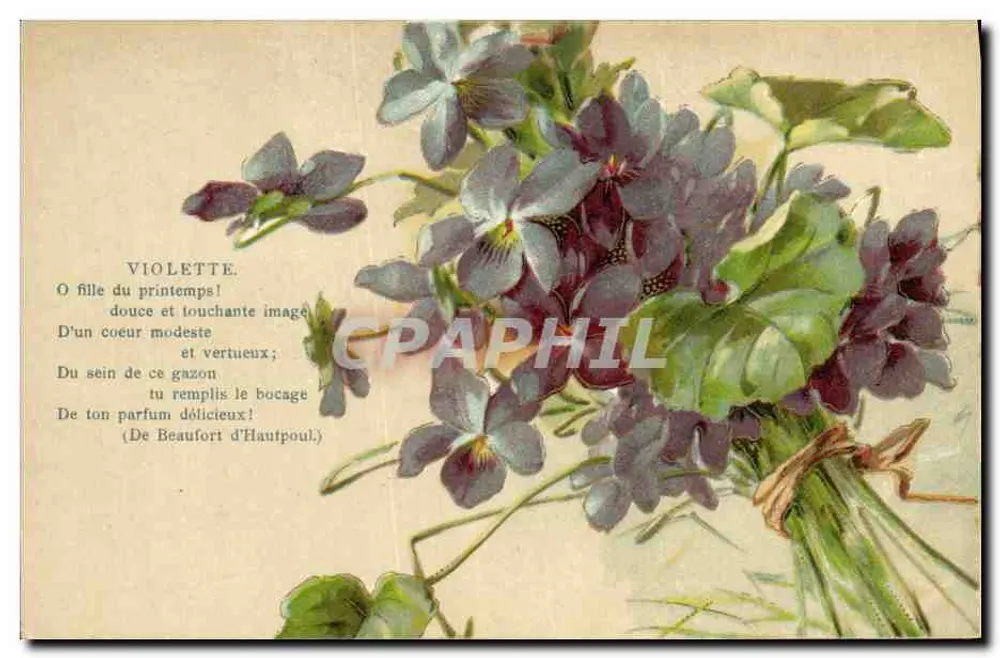 Violeta — poema de Beaufort d'Hautpoul — K.F. Éditeurs, Paris, Série 150 - Frente