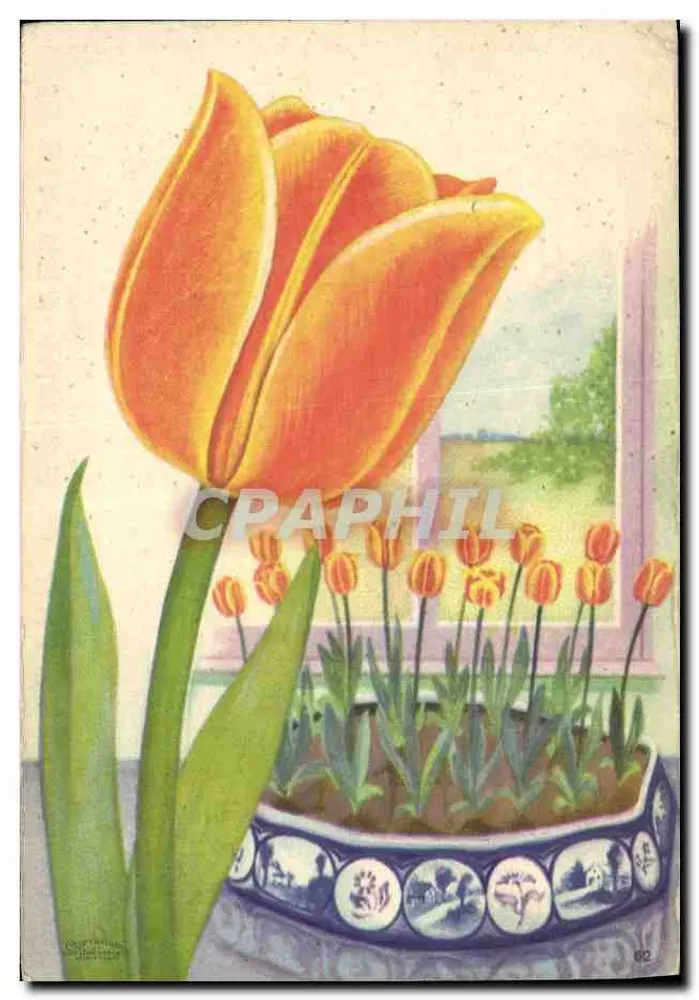 Tulipan pomarańczowy — widok ogrodu — L. Stassen Junior S.A., Hillegom, Holandia, nr 82 - Awers