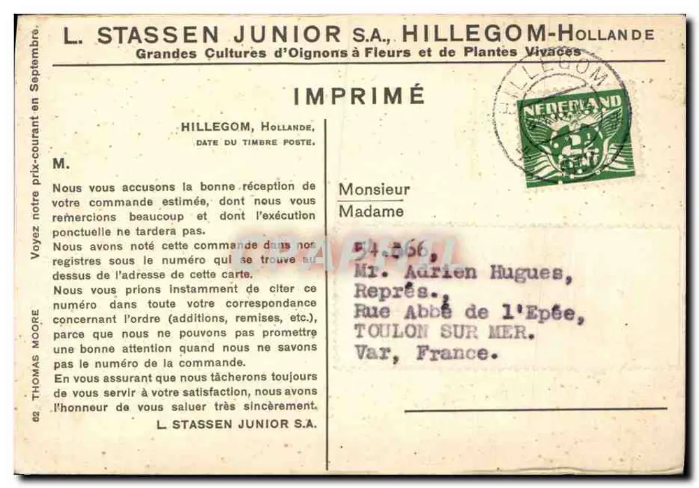 Tulipan pomarańczowy — widok ogrodu — L. Stassen Junior S.A., Hillegom, Holandia, nr 82 - Rewers