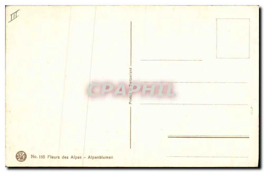 Flores das Alpes — S. Dindinger-Reuix - Verso
