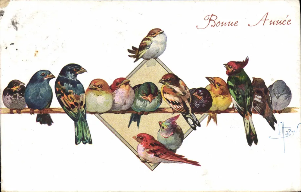 Pássaros — Boa Ano — A. Noyer, Série n° 19 - Frente
