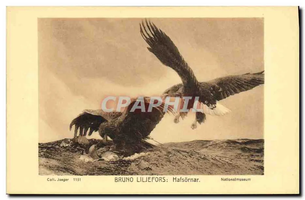 Hafsörnar — Bruno Liljefors — Coll. Jaeger 1151 - Frente