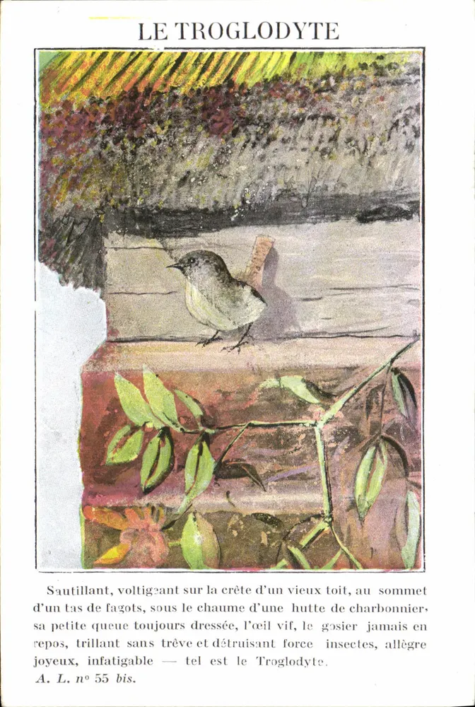 O Troglodita — A. L. n° 55 bis — André LéSOT, Editor, Paris 6e - Frente