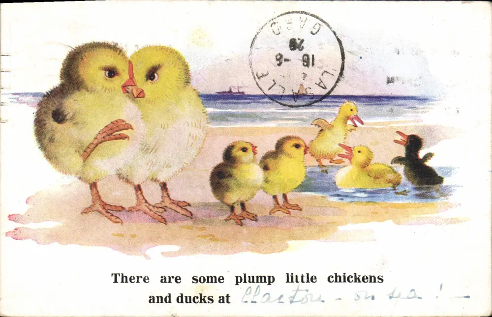 Hühner und Enten am Strand — Inter-Art Co., Florence House, Barnes, London, S.W. — Nr. 3179 - Vorderseite