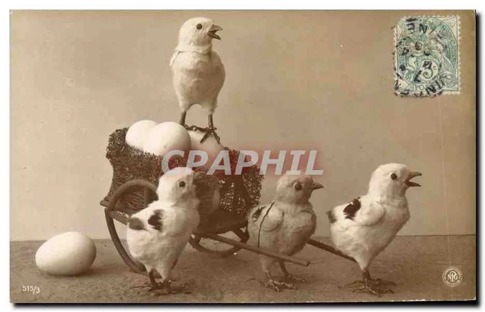 Corujas e ovos — cena de primavera — Grammophonische Gesellschaft A.G., Steglitz, Berlin, n° 515/3 - Frente