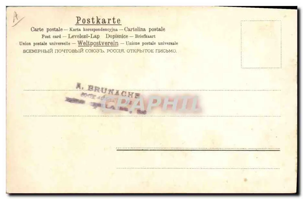 Dois papagaios — ilustração colorida — A. & M. B. N°122 - Verso