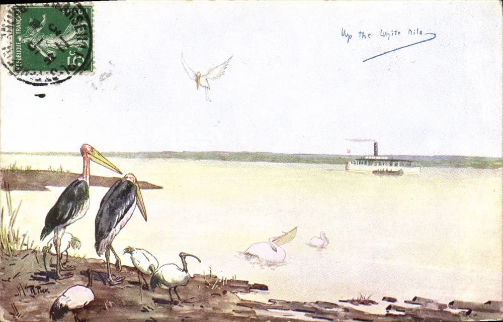 नील पर जानवरों की झलक — प्रकाशक A. E. W. L. 954-1 - आगे