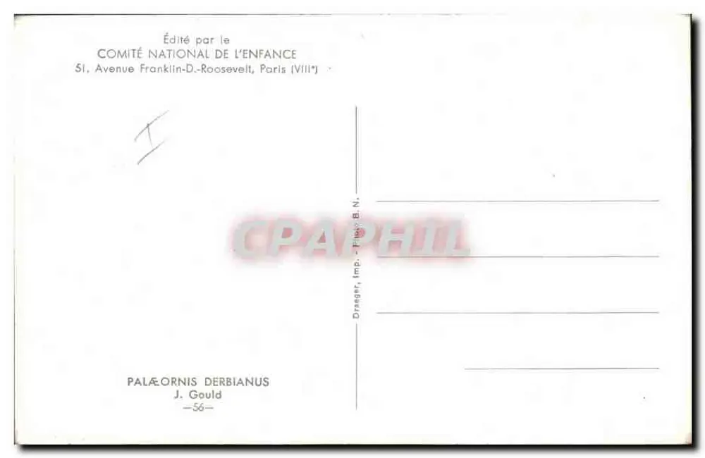 Perroquet indien — ilustracja naturalistyczna — wydawca Draeger & Fils, nr 56 - Rewers