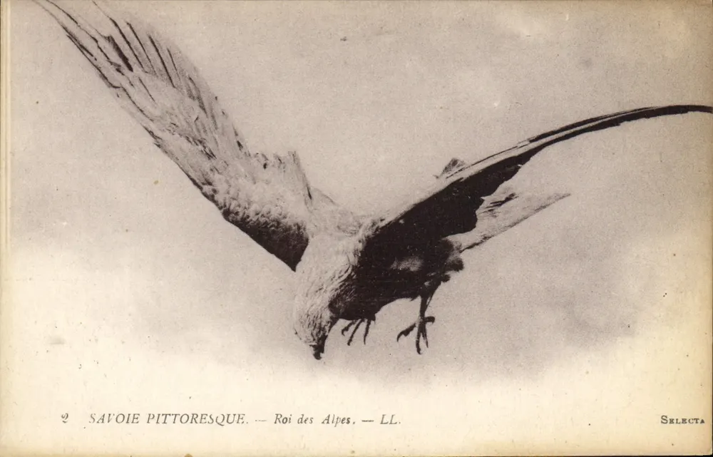 Pittoreske Savoie — König der Alpen — LL. — Selecta - Vorderseite